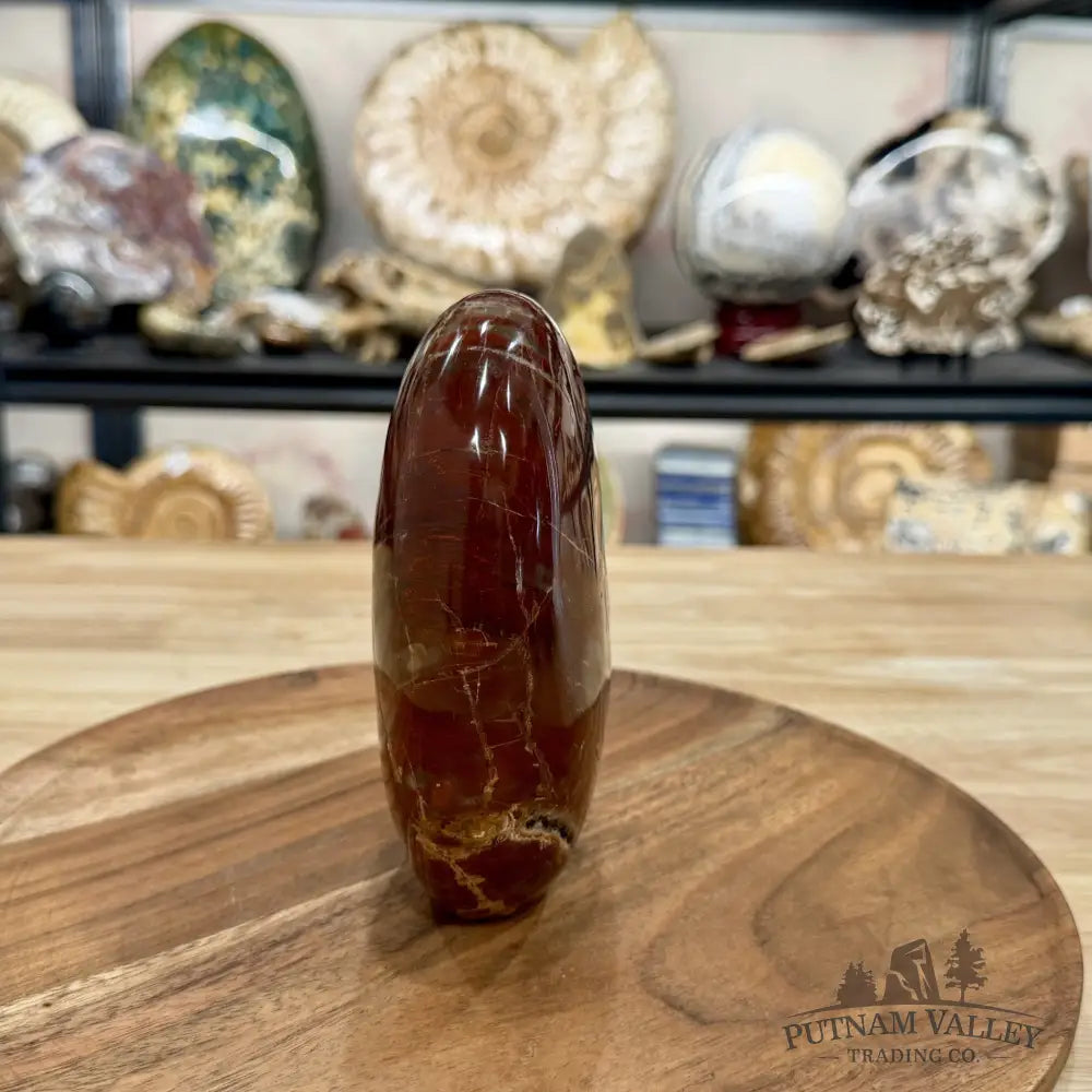 Madagascar Petrified Wood Table Accent 5.61’’ - Free Standing Accent