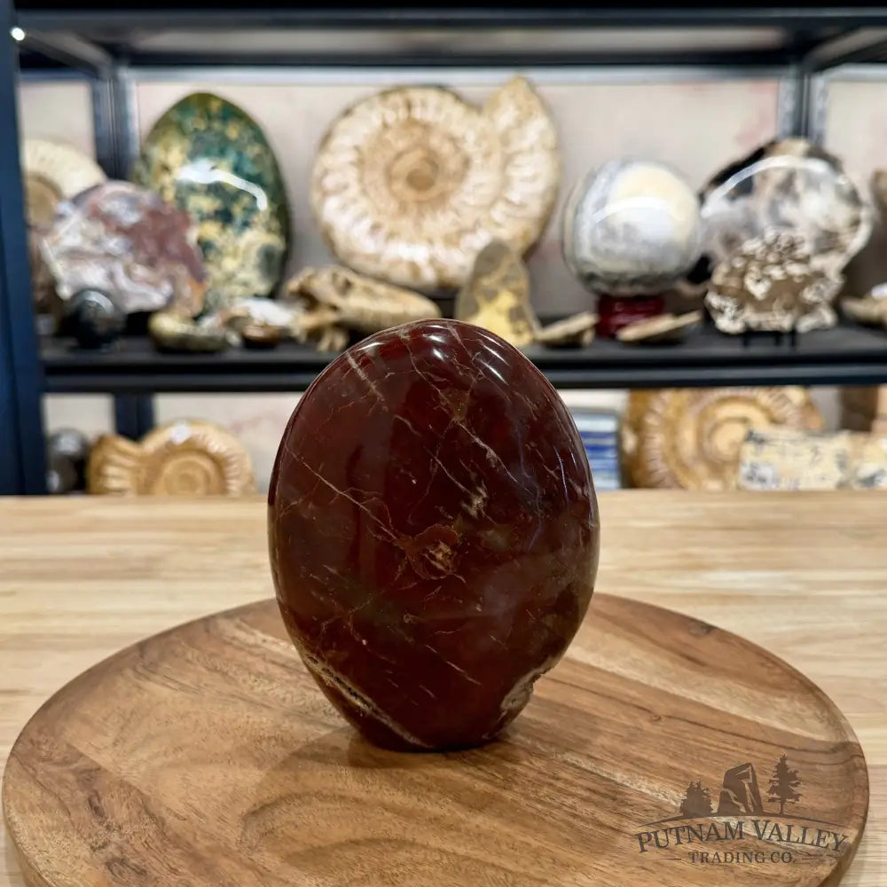 Madagascar Petrified Wood Table Accent 5.61’’ - Free Standing Accent