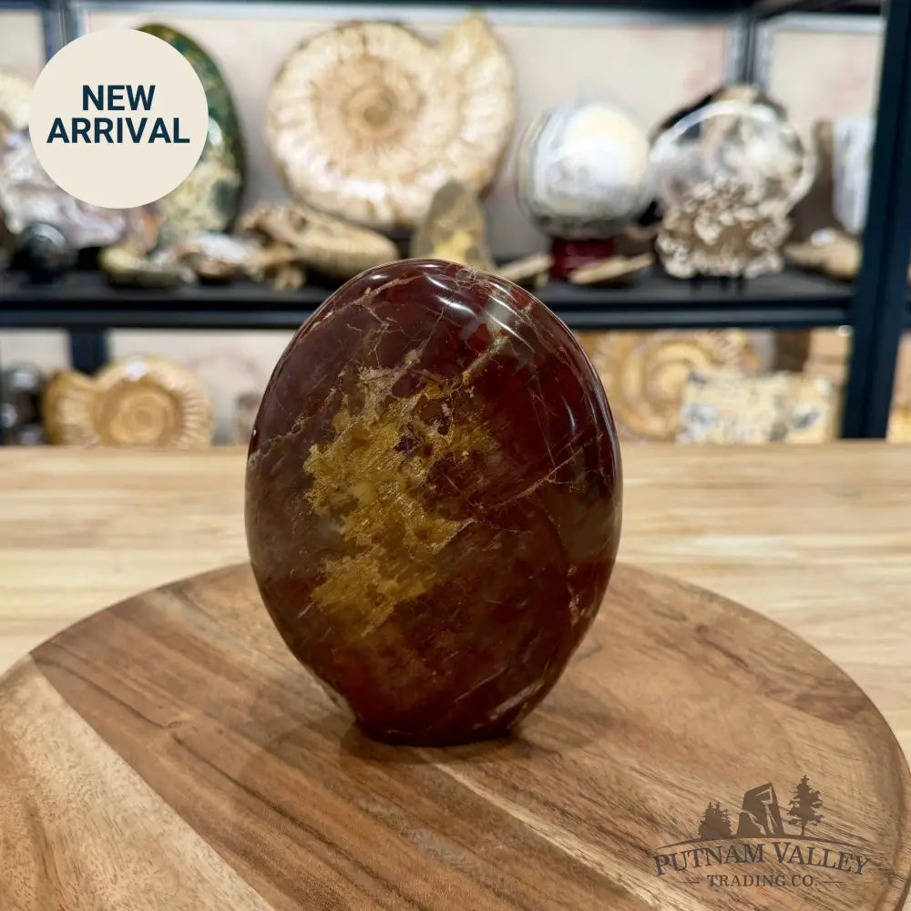 Madagascar Petrified Wood Table Accent 5.61’’ - Free Standing Accent