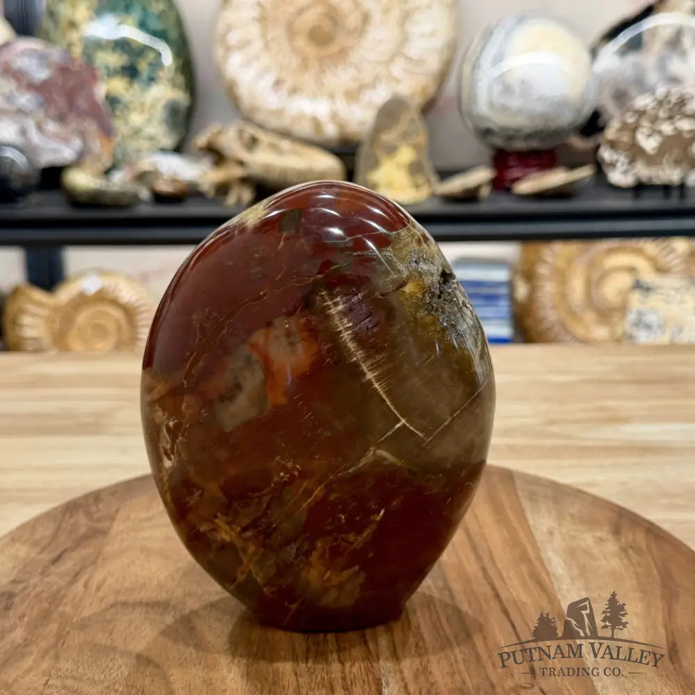 Madagascar Petrified Wood Table Accent 5.95’’ - Free Standing Accent