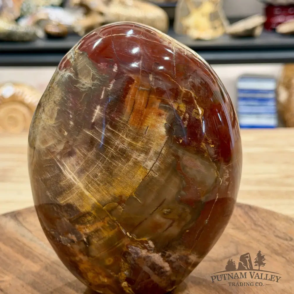 Madagascar Petrified Wood Table Accent 5.95’’ - Free Standing Accent