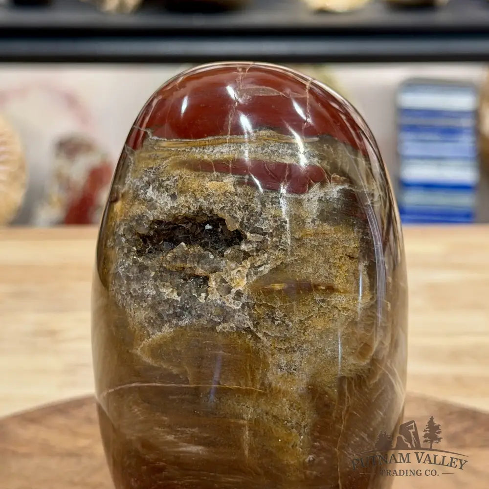 Madagascar Petrified Wood Table Accent 5.95’’ - Free Standing Accent