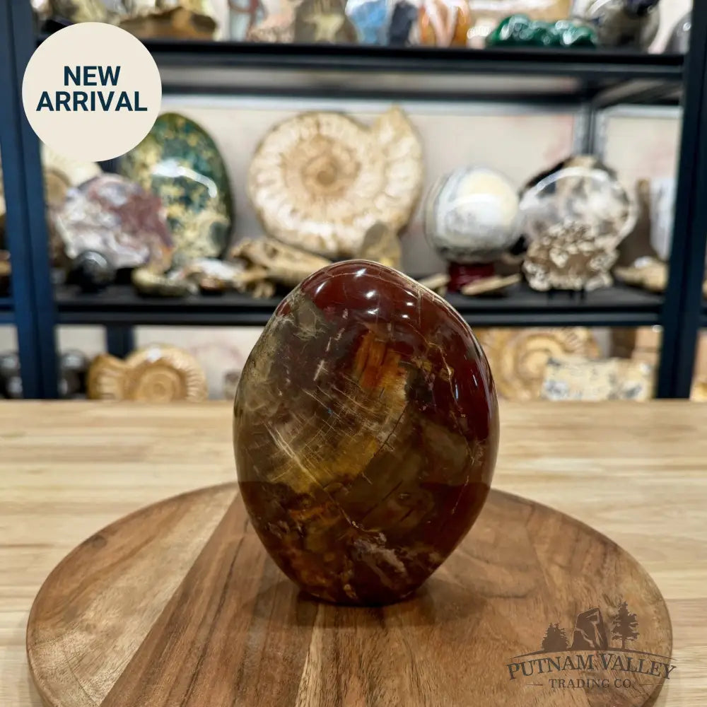 Madagascar Petrified Wood Table Accent 5.95’’ - Free Standing Accent
