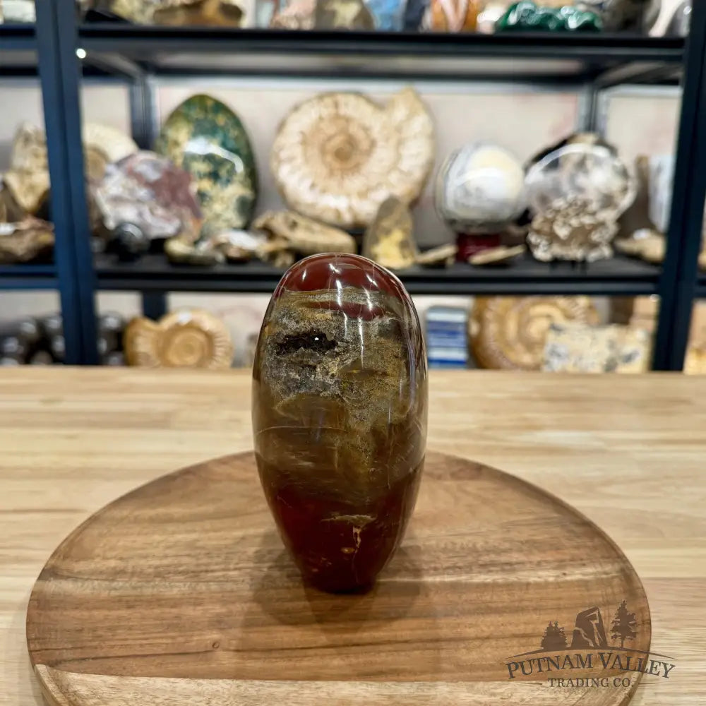 Madagascar Petrified Wood Table Accent 5.95’’ - Free Standing Accent