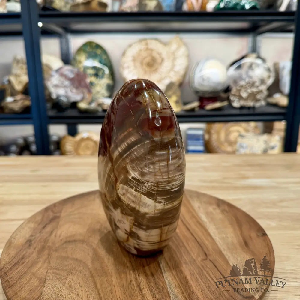 Madagascar Petrified Wood Table Accent 6.75’’ - Free Standing Accent