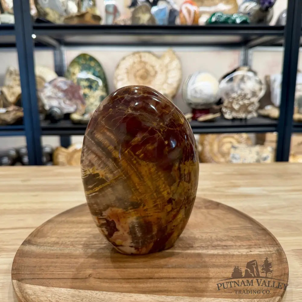 Madagascar Petrified Wood Table Accent 6.75’’ - Free Standing Accent