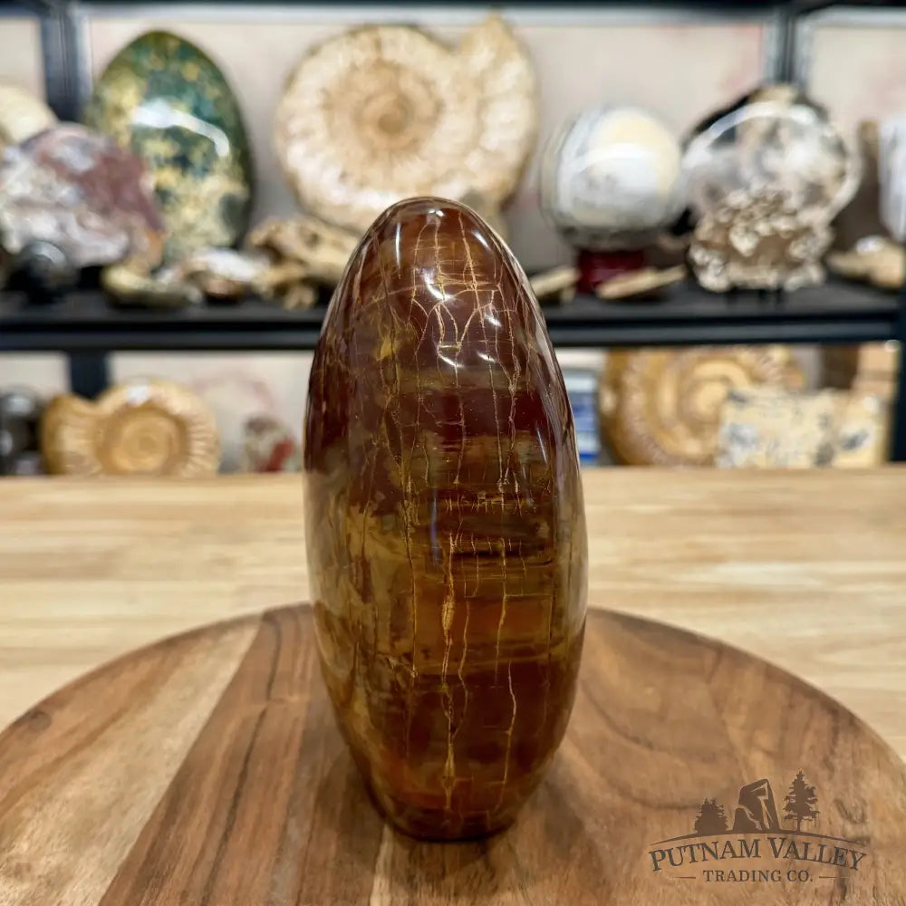 Madagascar Petrified Wood Table Accent 6.75’’ - Free Standing Accent