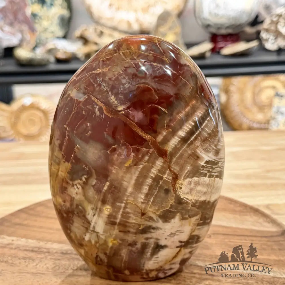 Madagascar Petrified Wood Table Accent 6.75’’ - Free Standing Accent
