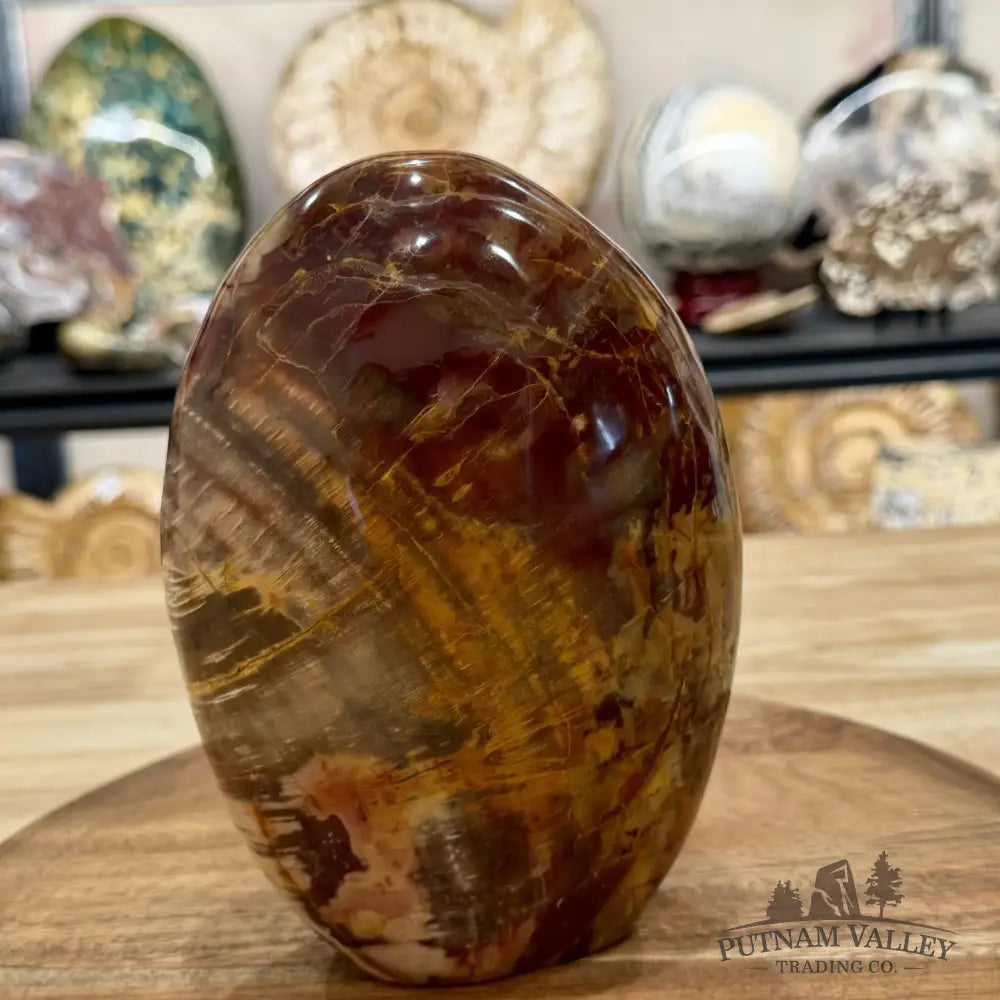 Madagascar Petrified Wood Table Accent 6.75’’ - Free Standing Accent