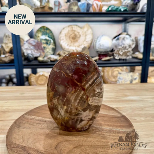 Madagascar Petrified Wood Table Accent 6.75’’ - Free Standing Accent