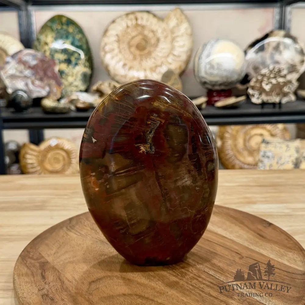 Madagascar Petrified Wood Table Accent 6.85’’ - Free Standing Accent
