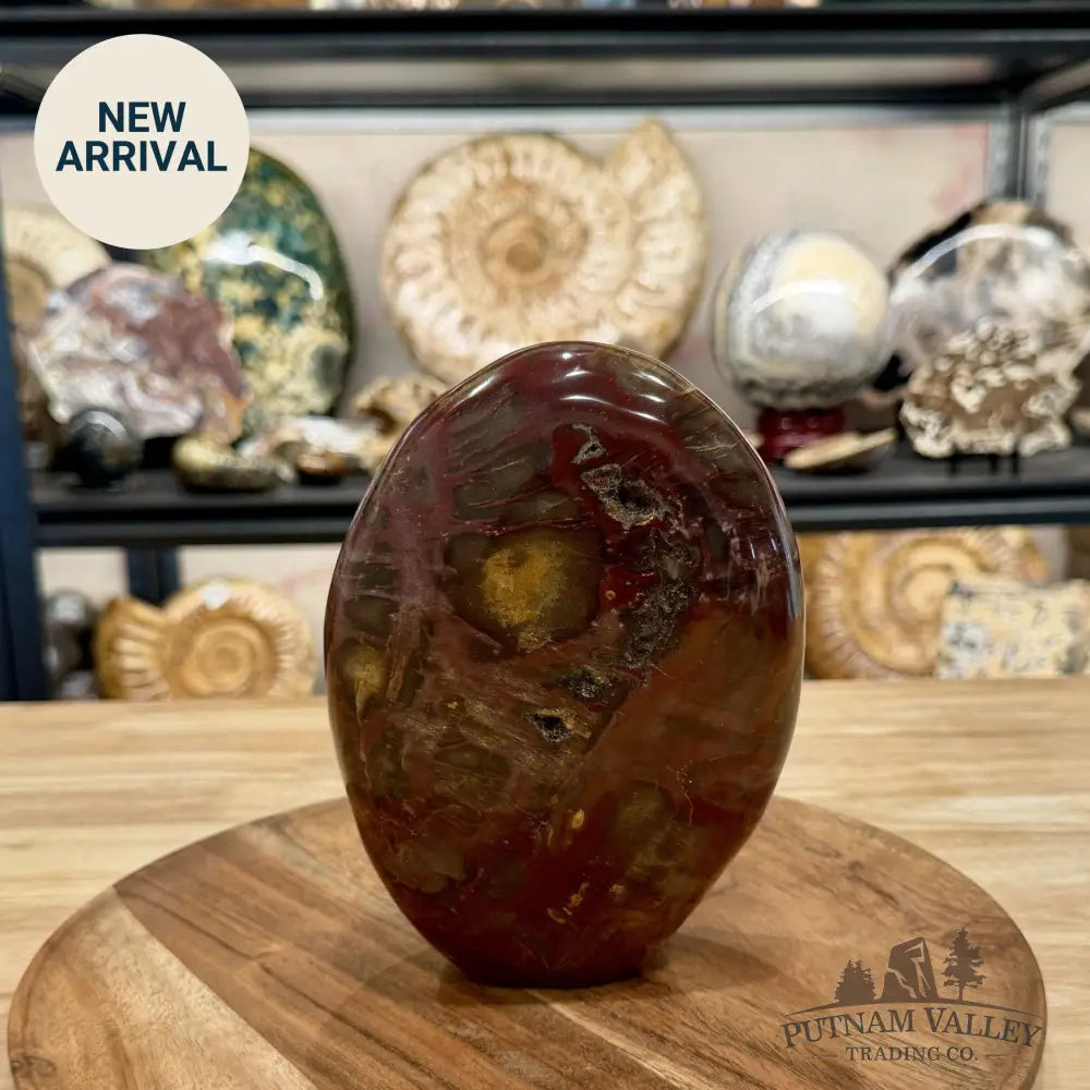 Madagascar Petrified Wood Table Accent 6.85’’ - Free Standing Accent