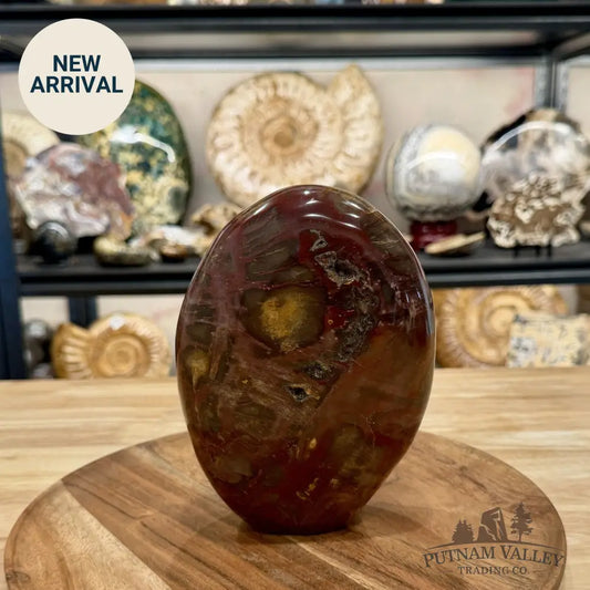 Madagascar Petrified Wood Table Accent 6.85’’ - Free Standing Accent