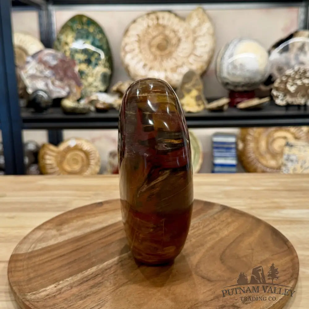 Madagascar Petrified Wood Table Accent 6.85’’ - Free Standing Accent