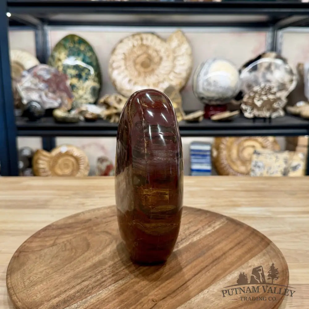 Madagascar Petrified Wood Table Accent 6.85’’ - Free Standing Accent