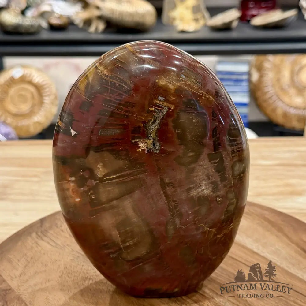 Madagascar Petrified Wood Table Accent 6.85’’ - Free Standing Accent
