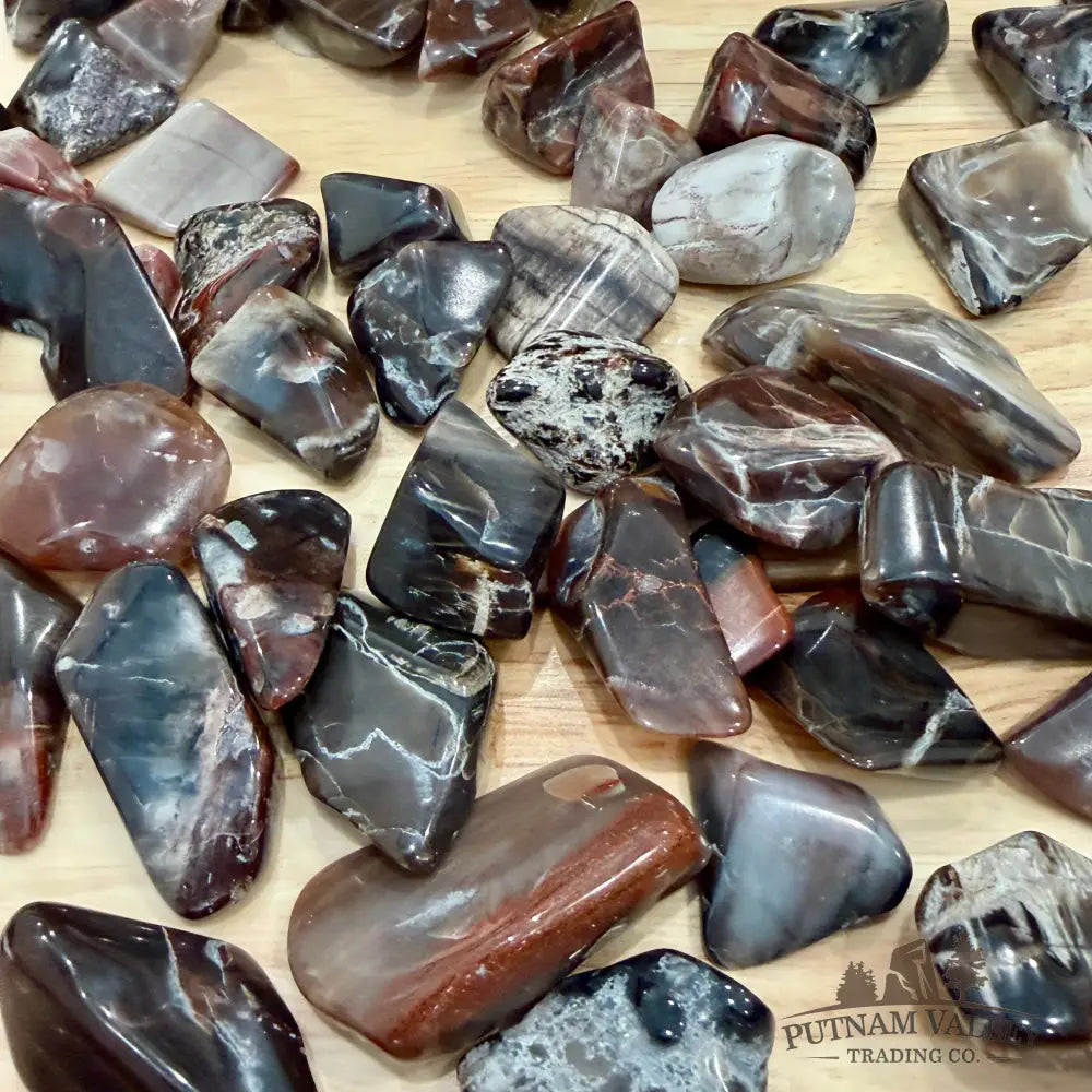 Tumbled Madagascar Petrified Wood (½ lb) | Freeform - Tumbled Stone