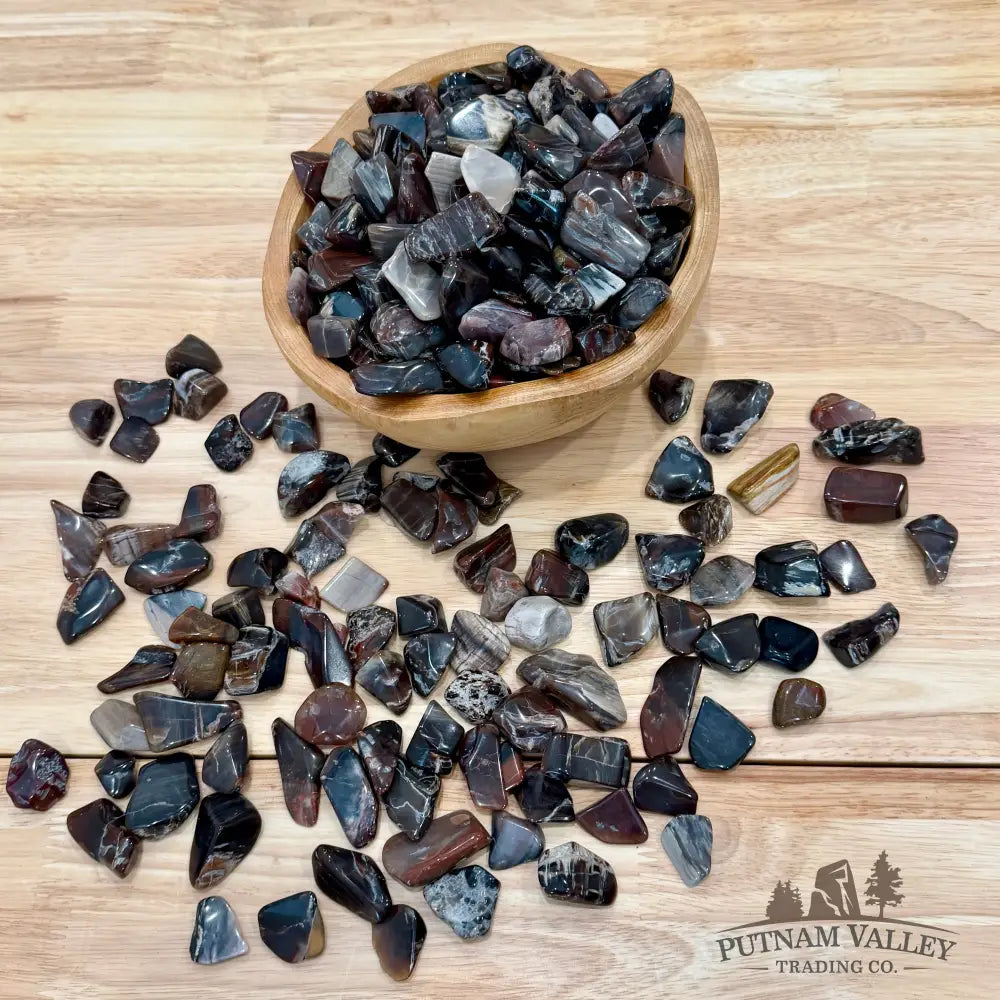 Tumbled Madagascar Petrified Wood (½ lb) | Freeform - Tumbled Stone