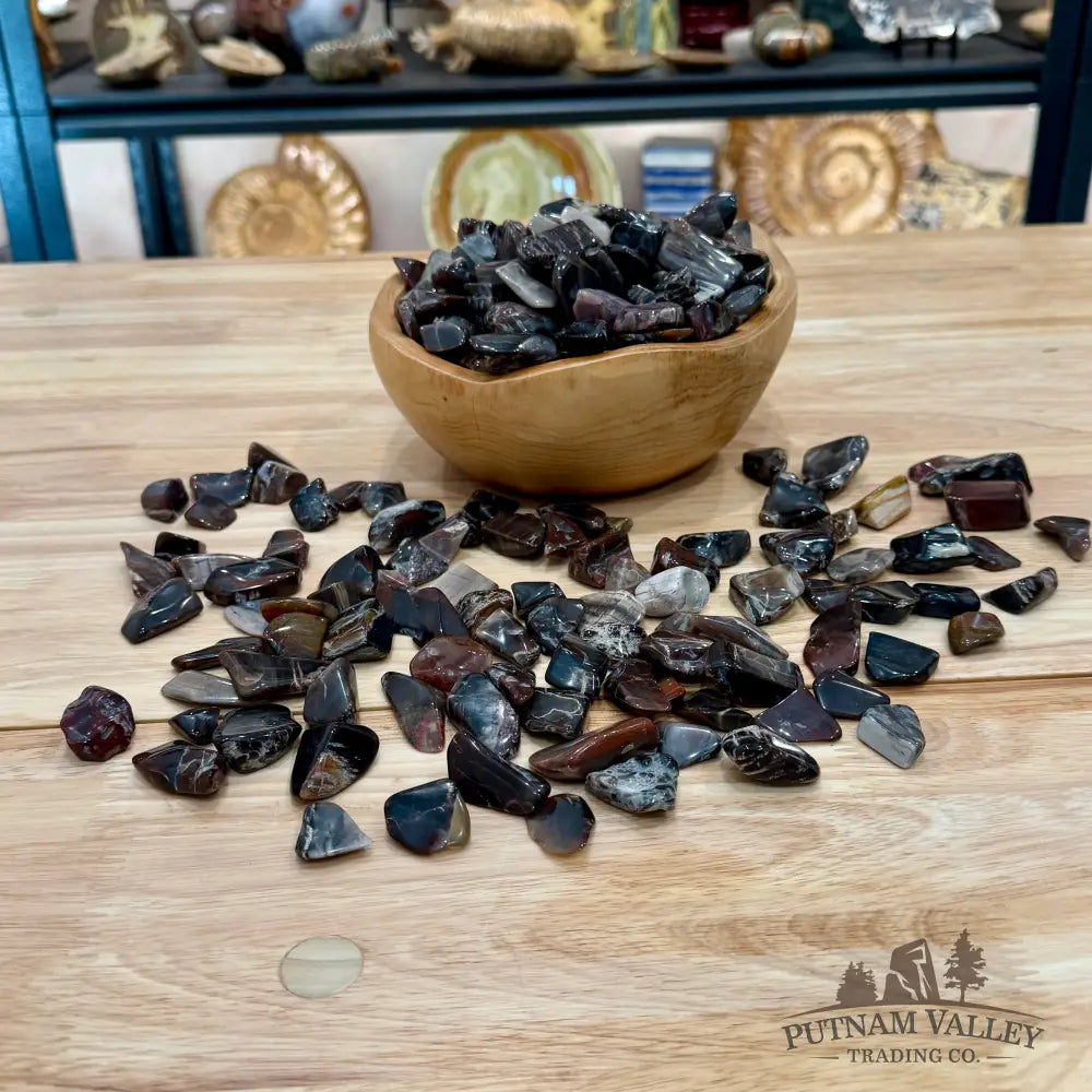 Tumbled Madagascar Petrified Wood (½ lb) | Freeform - Tumbled Stone