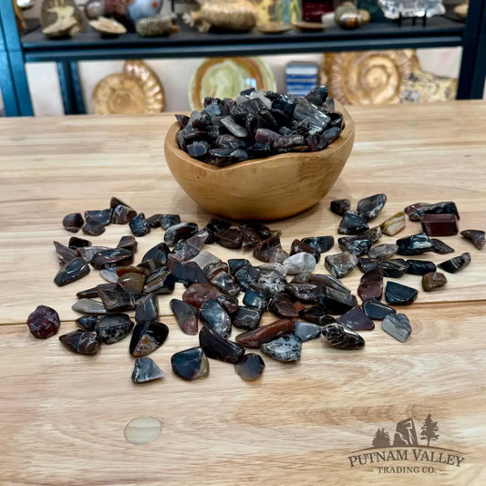 Tumbled Madagascar Petrified Wood (½ lb) | Freeform - Tumbled Stone