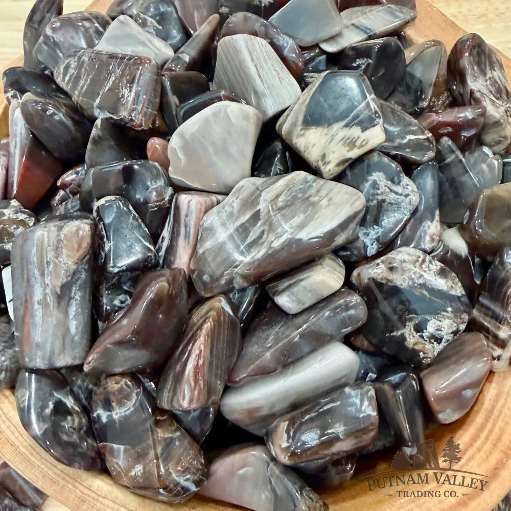 Tumbled Madagascar Petrified Wood (½ lb) | Freeform - Tumbled Stone