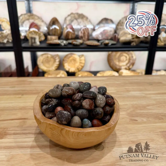 Tumbled Madagascar Petrified Wood (½ lb) Tumbled Stone