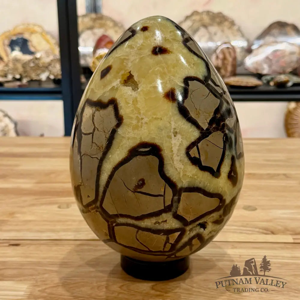 Madagascar Septarian Egg 10’’ Egg