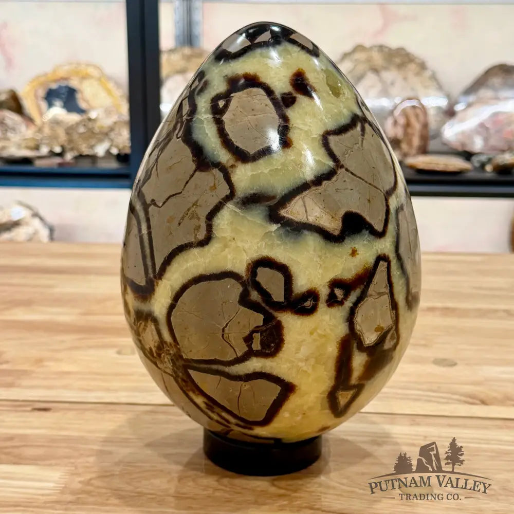 Madagascar Septarian Egg 10’’ Egg