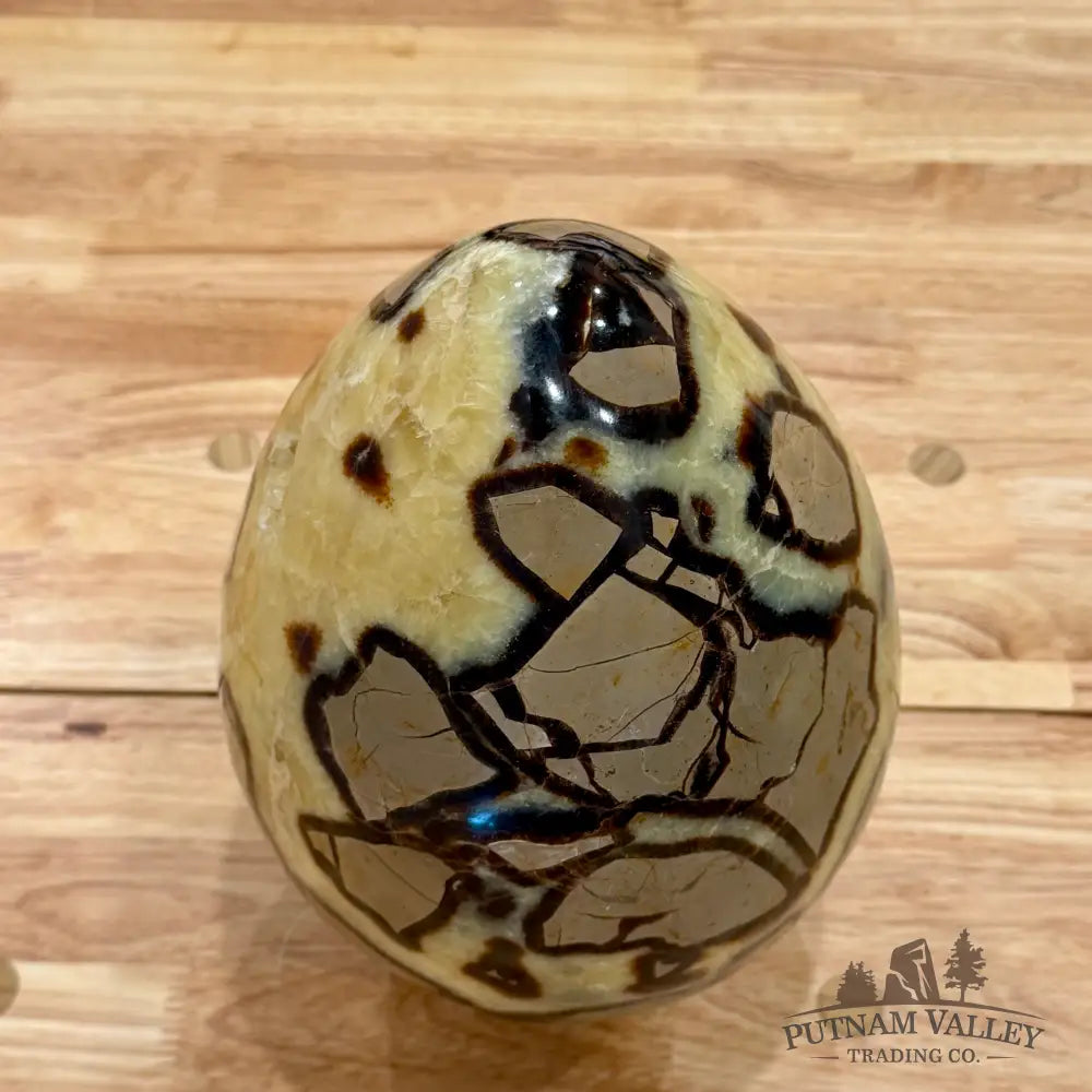 Madagascar Septarian Egg 10’’ Egg