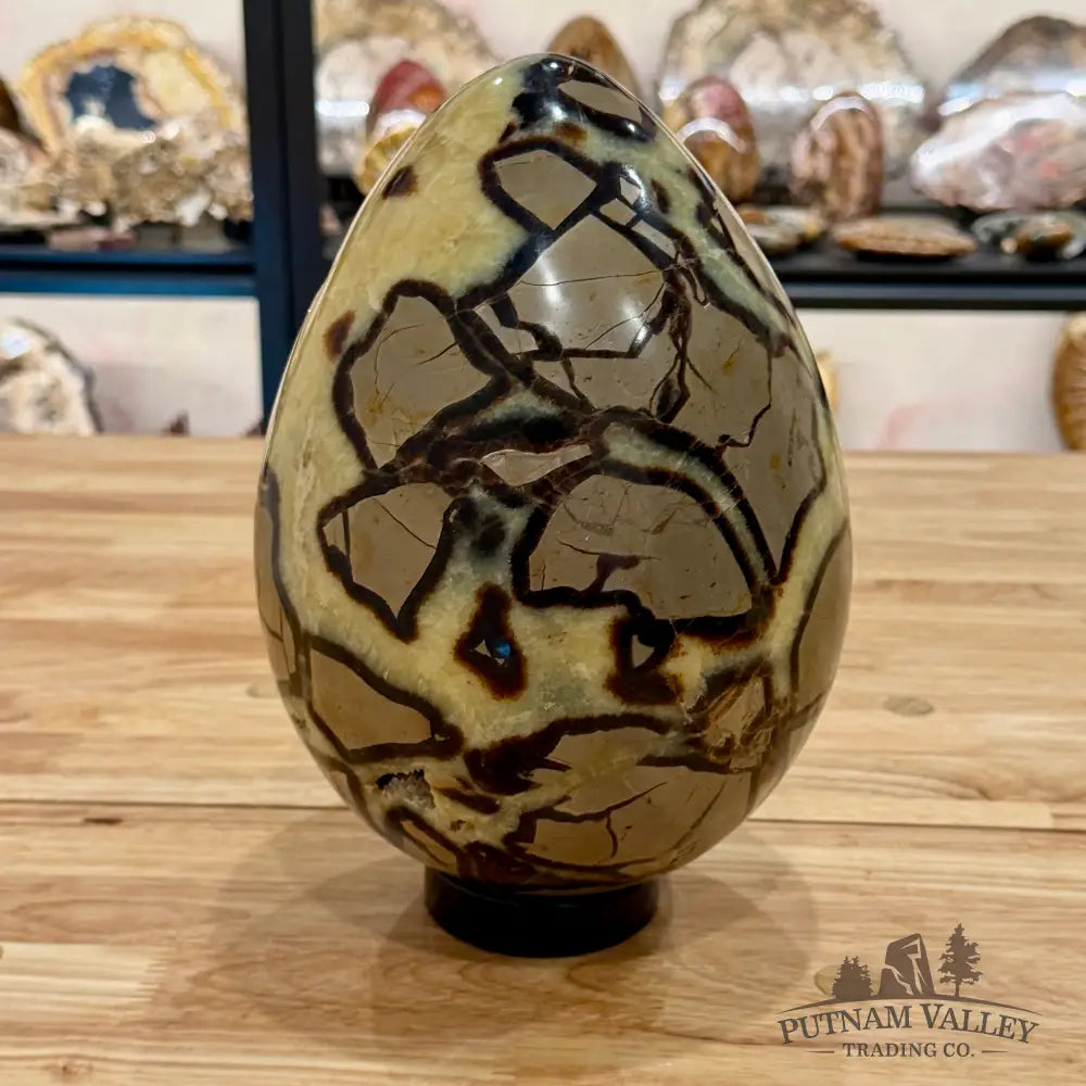 Madagascar Septarian Egg 10’’ Egg