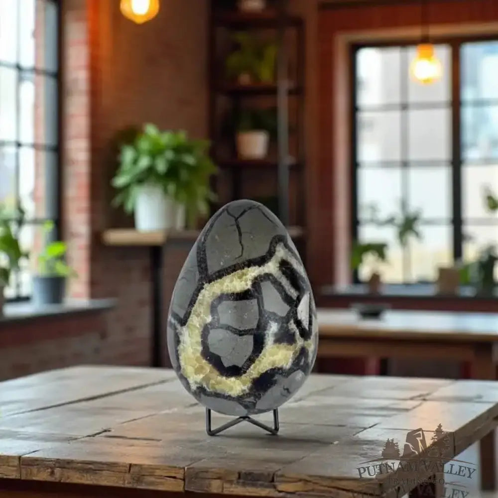 Septarian Egg - Putnam Valley Trading Co.