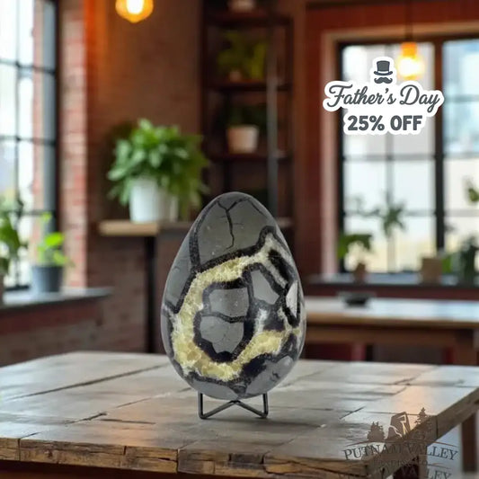 Septarian Egg - Putnam Valley Trading Co.