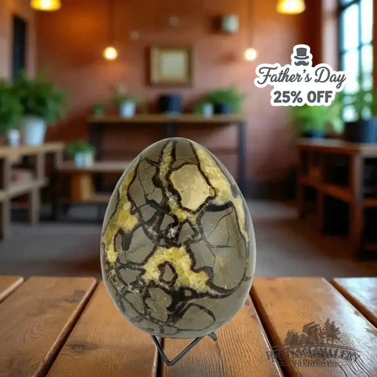 Septarian Egg - Putnam Valley Trading Co.