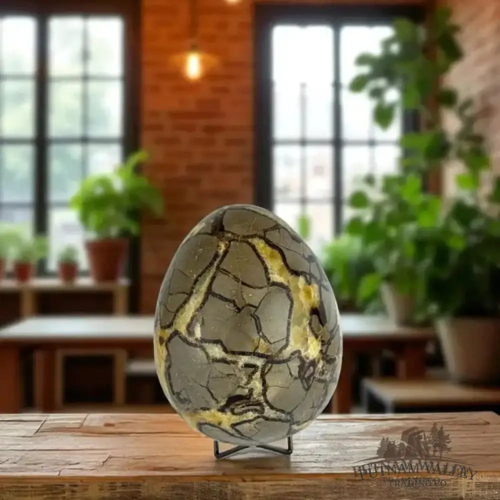 Septarian Egg - Putnam Valley Trading Co.