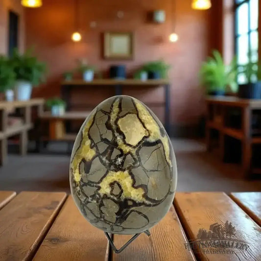 Septarian Egg - Putnam Valley Trading Co.