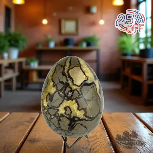 Septarian Egg - Putnam Valley Trading Co.