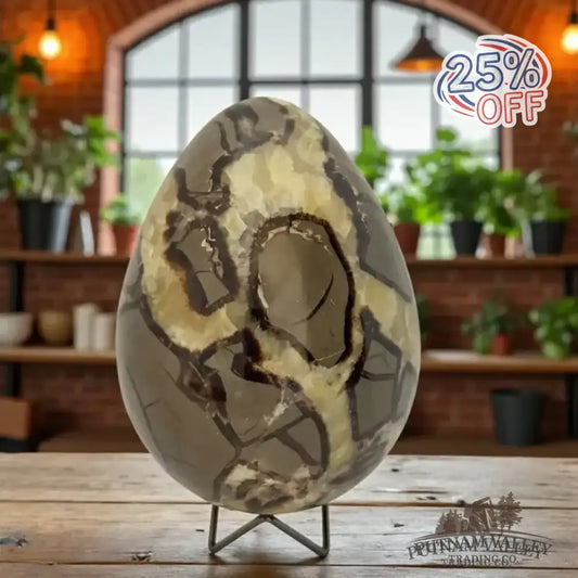 Septarian Egg - Putnam Valley Trading Co.