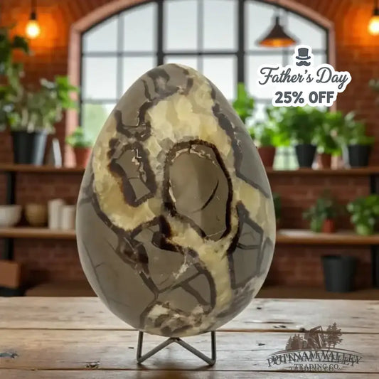 Septarian Egg - Putnam Valley Trading Co.