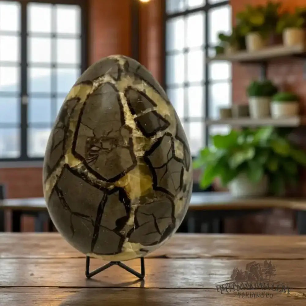 Septarian Egg - Putnam Valley Trading Co.