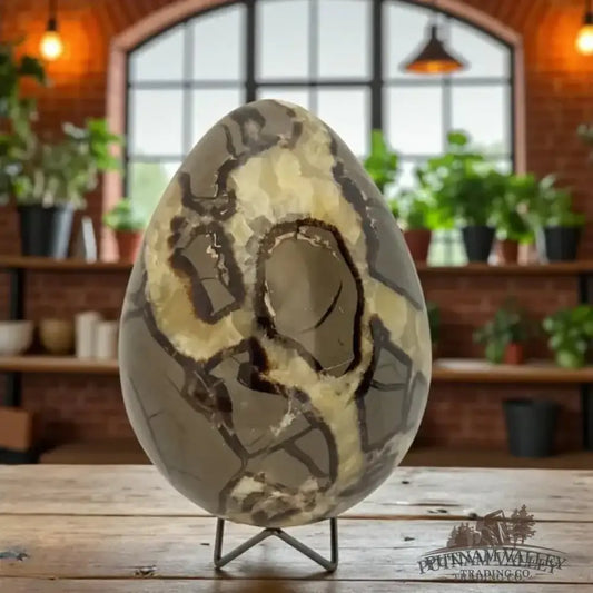 Septarian Egg - Putnam Valley Trading Co.