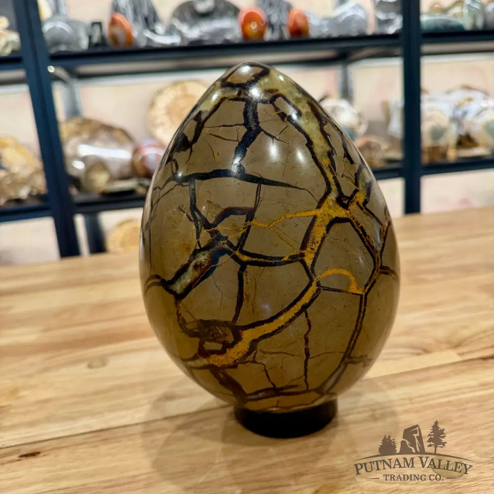 Madagascar Septarian Egg 8.75’’ Egg
