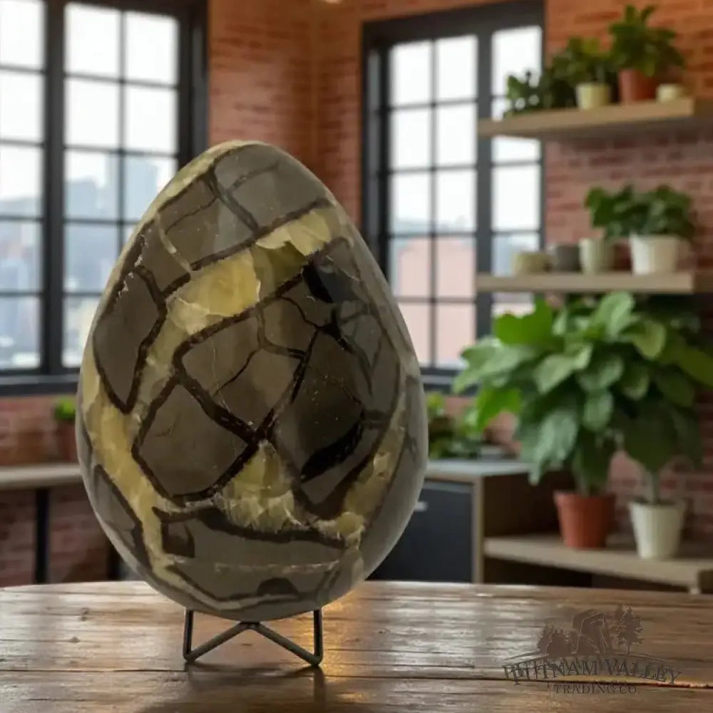 Septarian Egg - Putnam Valley Trading Co.