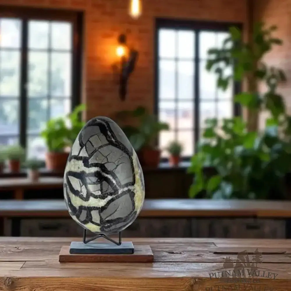Septarian Egg - Putnam Valley Trading Co.