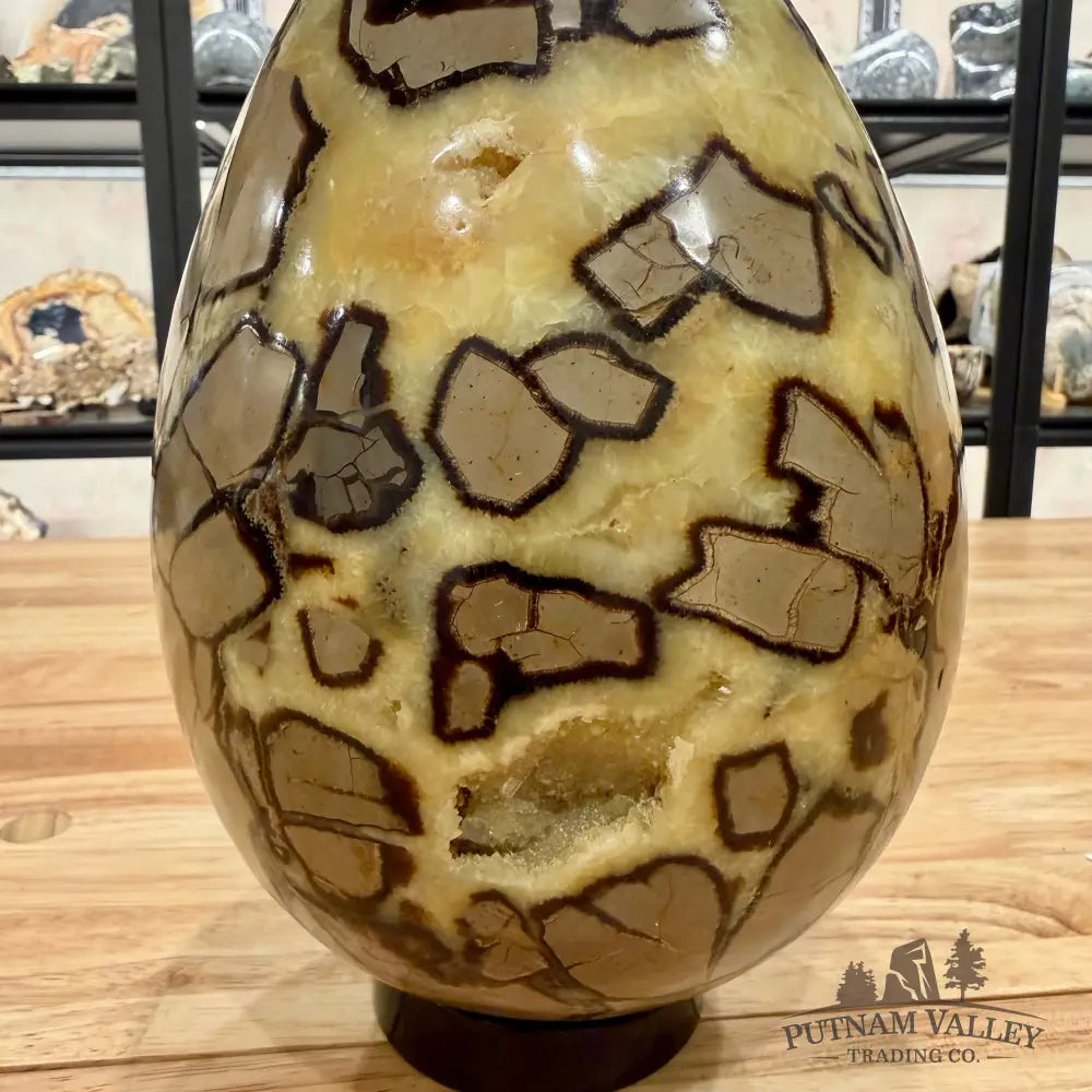 Madagascar Septarian Egg 9’’ Egg