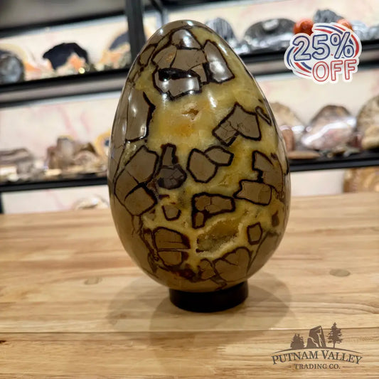 Madagascar Septarian Egg 9’’ Egg