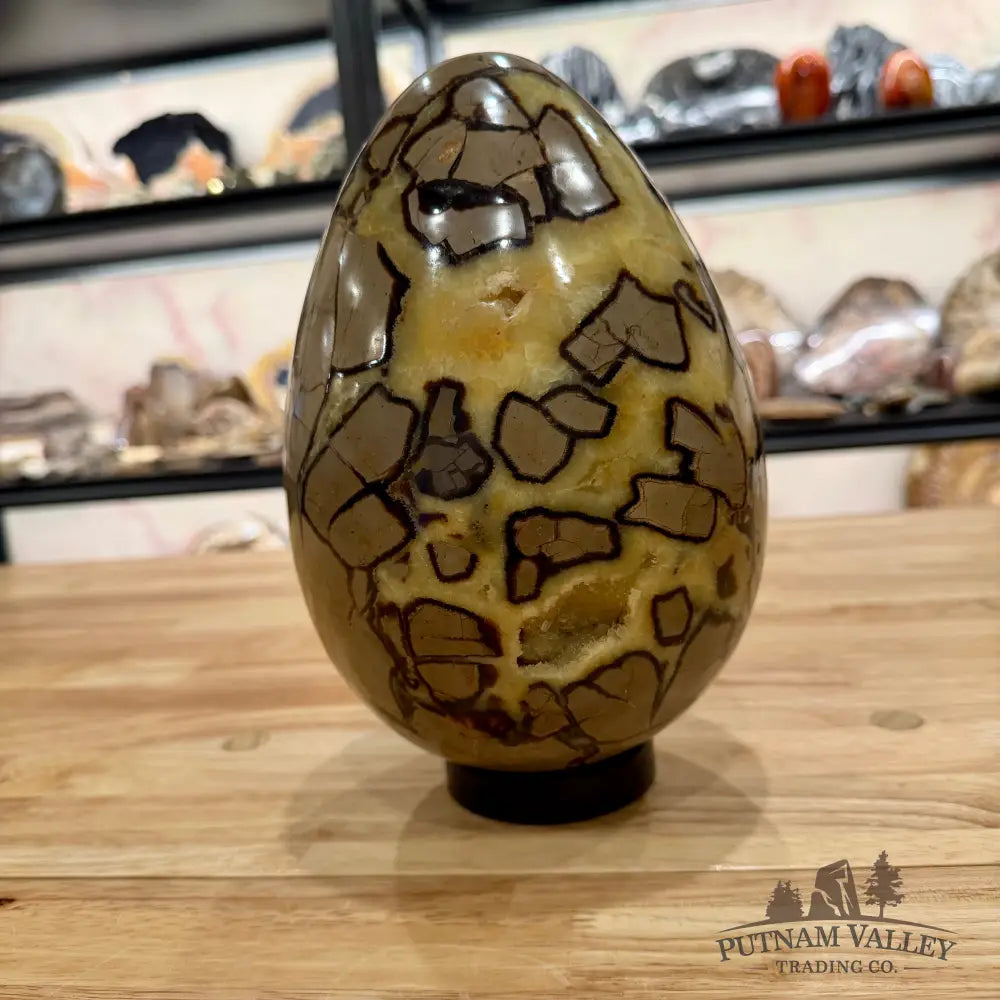 Madagascar Septarian Egg 9’’ Egg