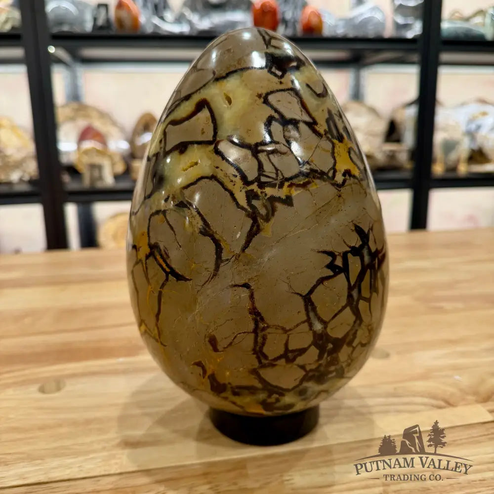Madagascar Septarian Egg 9’’ Egg