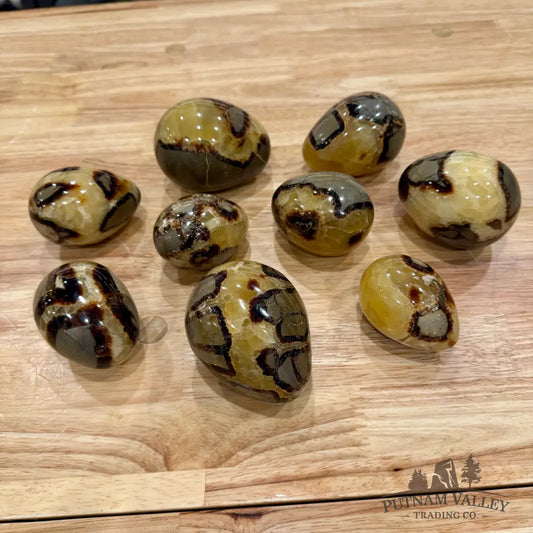 Madagascar Septarian Eggs | In Select Sizes 2’’ - 2.5’’ Sphere