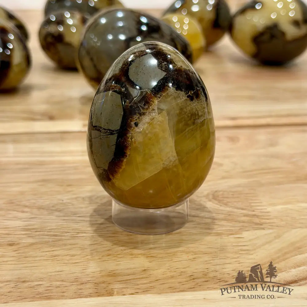 Madagascar Septarian Eggs | In Select Sizes Sphere