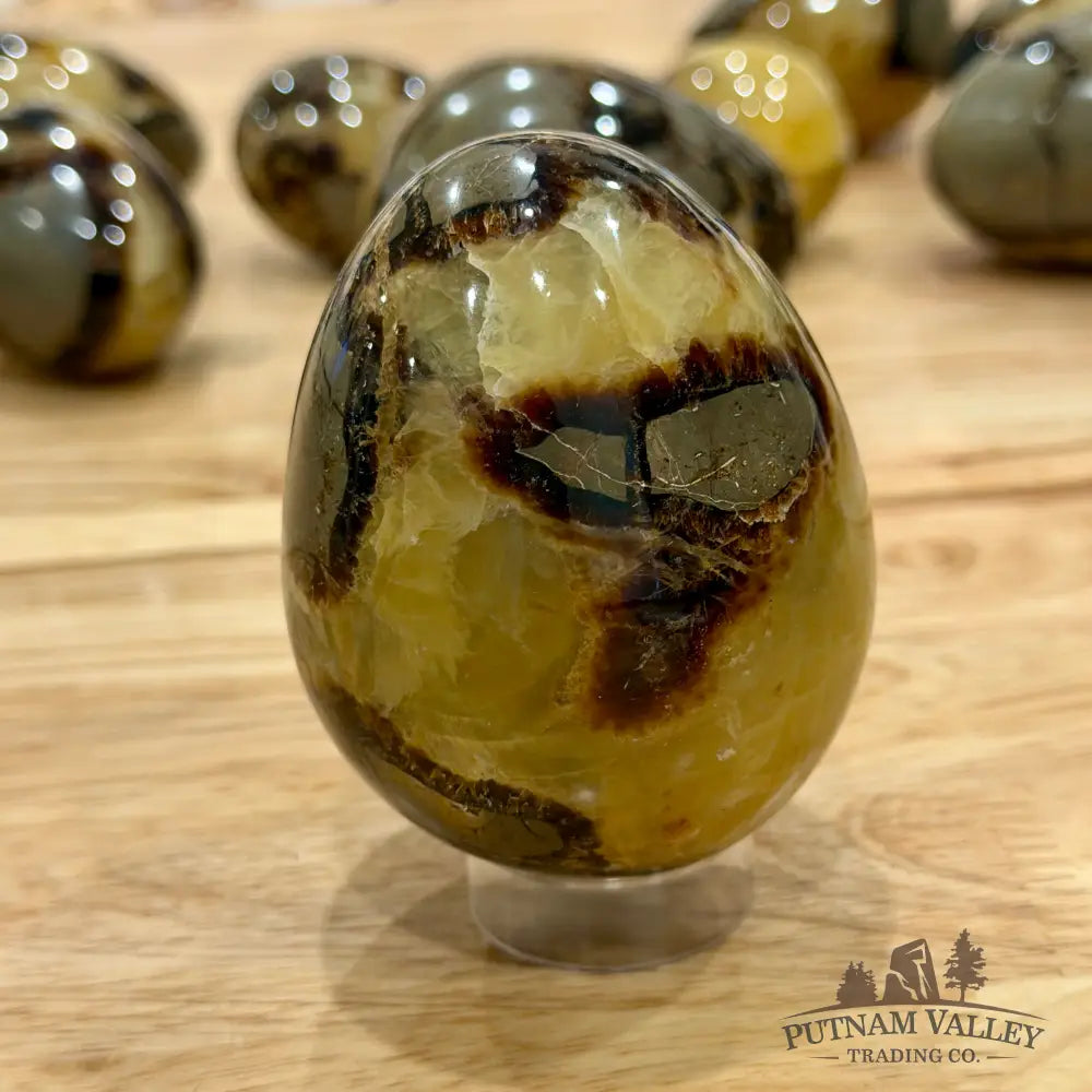 Madagascar Septarian Eggs | In Select Sizes Sphere